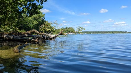 Badestelle am See bei Brandenburg Badestelle am See bei Brandenburg