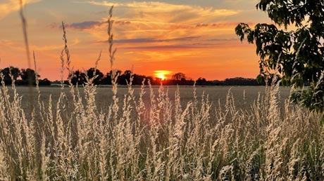 Sonnenuntergang Campingplatz Werben