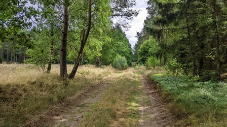 Radwege durch die Heide Radwege durch die Heide