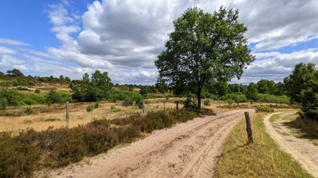 Radweg durch die Heide Radweg durch die Heide