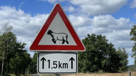 Hinweisschild Schafe Hinweisschild Schafe