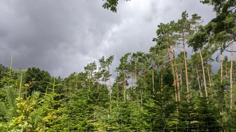 dunkle Wolken drohen dunkle Wolken drohen