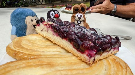 Es gibt Heidelbeerkuchen Es gibt Heidelbeerkuchen