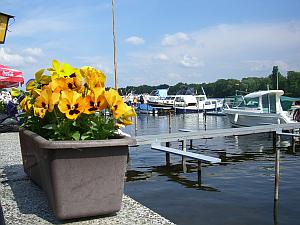 Eiscafe und Bootsverleih Dietrich