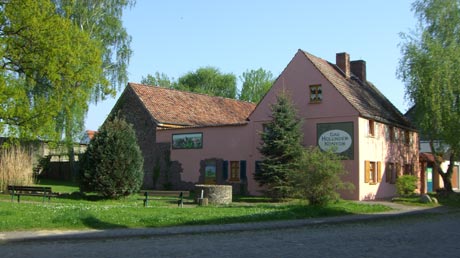Holunderkontor Niederndodeleben Holunderkontor Niederndodeleben