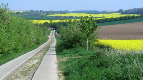 Wirtschaftsweg