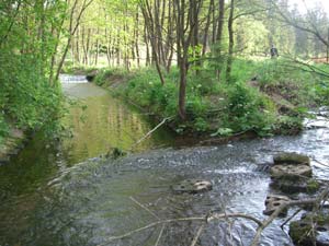 Zusammenfluss zur Ilm Zusammenfluss zur Ilm