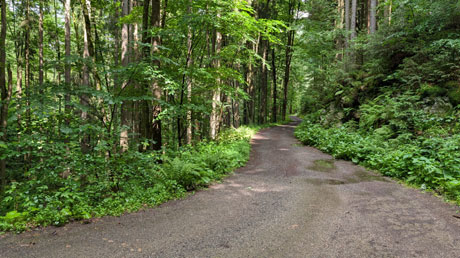Greenway 17 Jizera