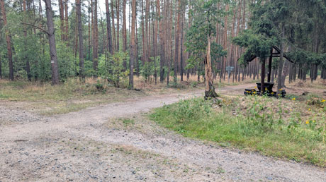 Radwegkreuzung im Wald bei Skorkov Radwegkreuzung im Wald bei Skorkov