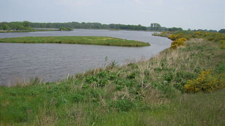 Blick zum Dr&ouml;mling
