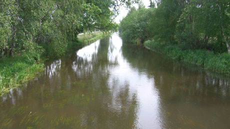 Ohre im Dr&ouml;mling