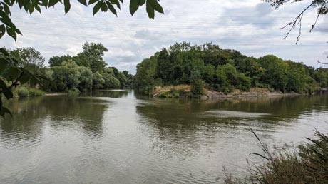 Kocher-Neckar-Mündung Kocher-Neckar-Mündung
