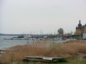 Goitzsche Goitzsche