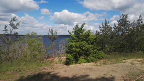 Muldestausee bei Schlaitz