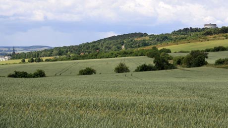 Ausblick zum Panoramamuseum Bad Frankenhausen