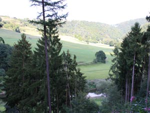 Waldweg Scheidt