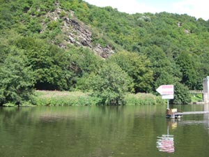 Scheidt