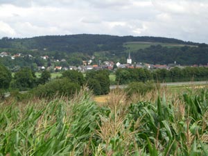 Ausblick Ausblick
