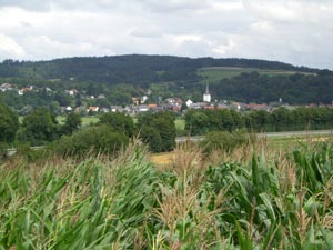 Ausblick