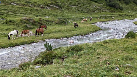 Lechweg Formarinsee-Lech am Arlberg