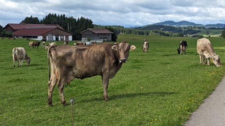 Lech-Radweg