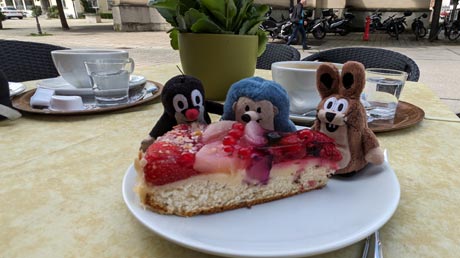 Lech-Radweg Obsttorte Lech-Radweg
