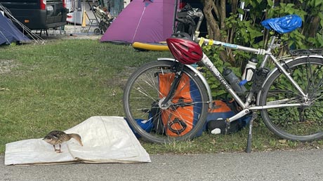 Loisachradweg Campingplatz Murnau