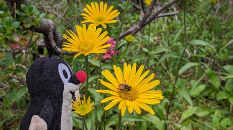 Wanderung von Lermoos zur Wolfratshauser Htte