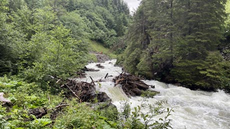 Wanderung am Höhenbach