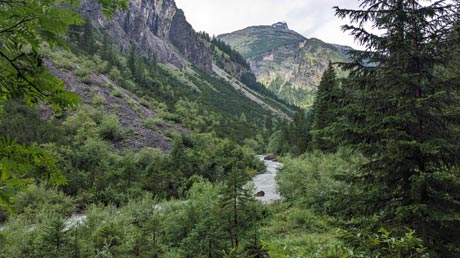 Wanderung am Höhenbach
