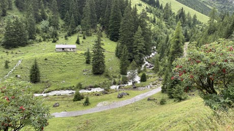 Rossgumpenalm Ausblick