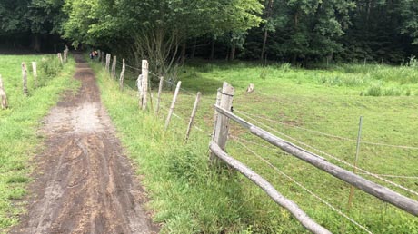 Leine-Heide-Radweg