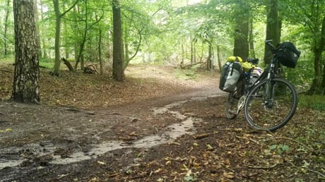 Leine-Heide-Radweg