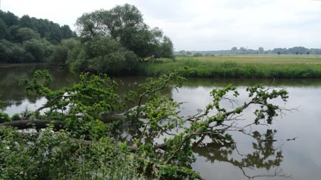 Leine-Heide-Radweg