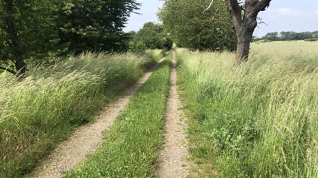 Leine-Heide-Radweg bei Neustadt am Rübenberge
