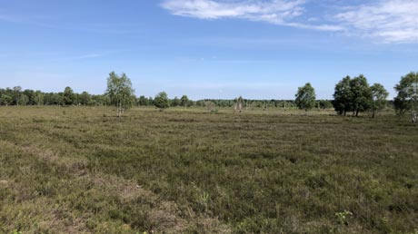 Leine-Heide-Radweg Lüneburger Heide Leine-Heide-Radweg Lüneburger Heide