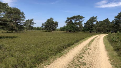 Leine-Heide-Radweg Lüneburger Heide Leine-Heide-Radweg Lüneburger Heide