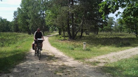 Leine-Heide-Radweg Lüneburger Heide Leine-Heide-Radweg Lüneburger Heide