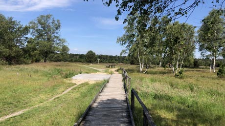 Leine-Heide-Radweg Lüneburger Heide