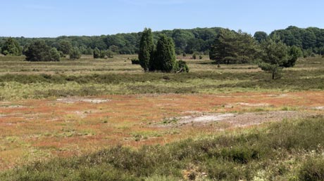 Leine-Heide-Radweg Lüneburger Heide Leine-Heide-Radweg Lüneburger Heide