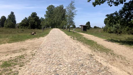Leine-Heide-Radweg Lüneburger Heide Leine-Heide-Radweg Lüneburger Heide