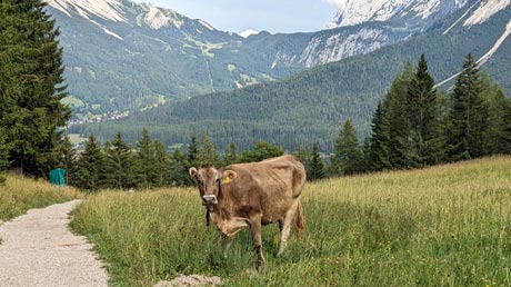 Wanderung von der Wolfratshauser Hütte Wanderung von der Wolfratshauser Hütte