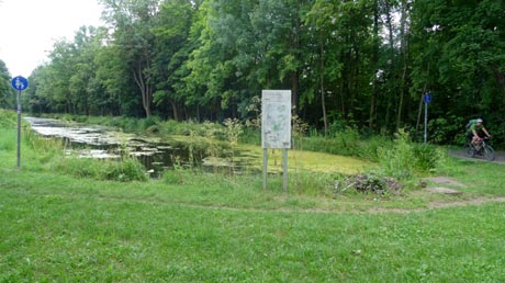 Ludwig-Donau-Main-Kanal