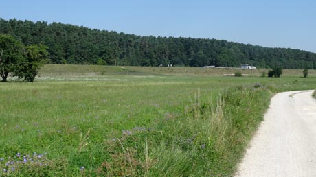 Radweg zum Main-Donau-Kanal Radweg zum Main-Donau-Kanal