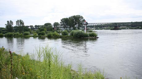 Main-Rhein-Mndung