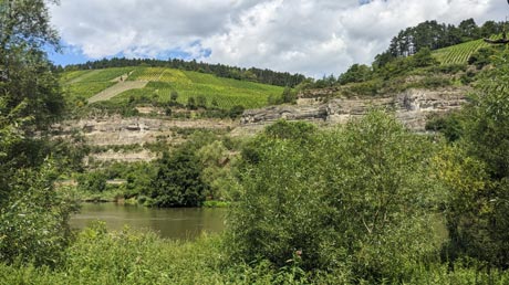 Weinberge am Main