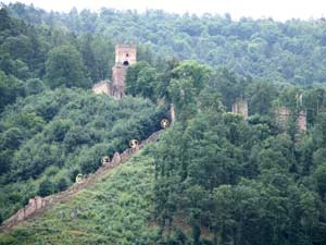 Freudenberg Freudenberg