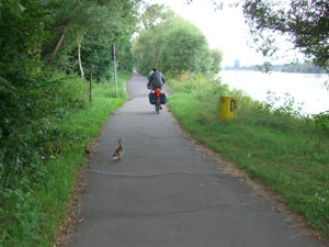 Main-Radweg Main-Radweg