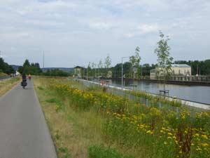 Main-Radweg