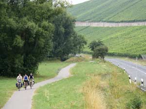 Weinberge